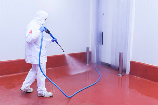Best Residential Exterior Washing  in Holland, MI