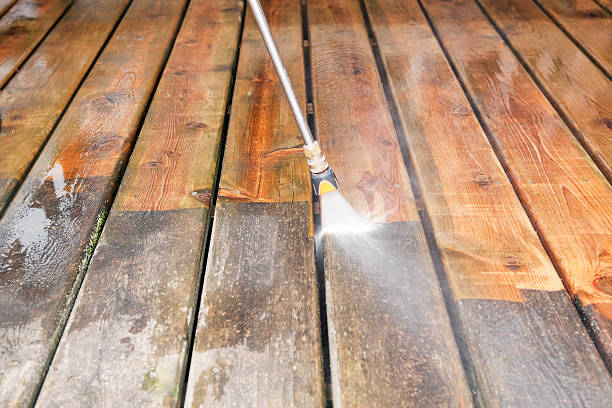 Best Driveway Pressure Washing  in Holland, MI